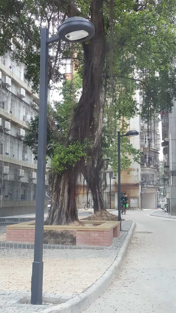 珠海蓮花山小區庭院燈細節圖